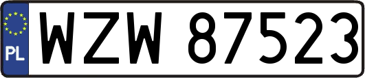 WZW87523