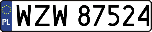 WZW87524