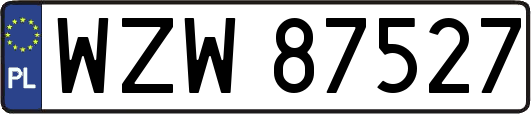 WZW87527