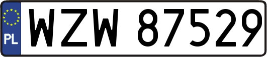 WZW87529