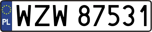 WZW87531