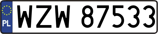 WZW87533