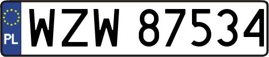 WZW87534