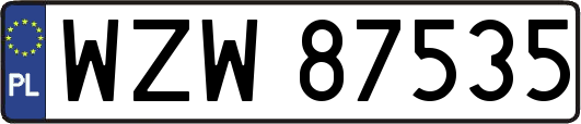WZW87535