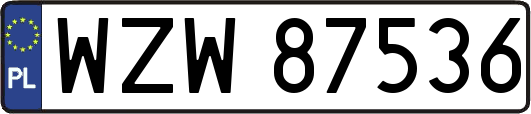 WZW87536