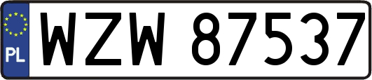 WZW87537