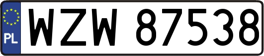 WZW87538