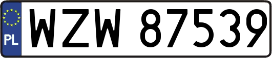 WZW87539
