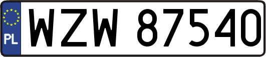 WZW87540