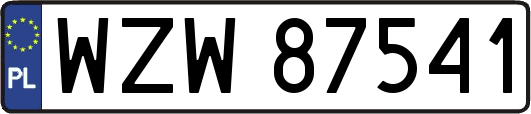 WZW87541