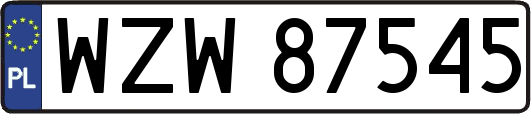 WZW87545