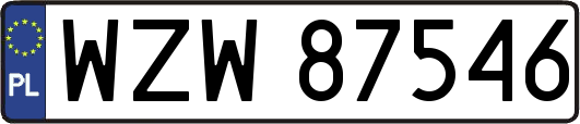 WZW87546