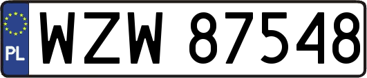 WZW87548