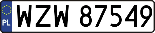 WZW87549
