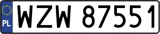 WZW87551