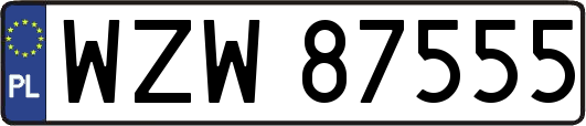 WZW87555