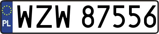 WZW87556