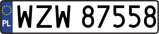 WZW87558
