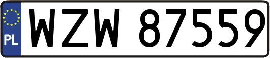 WZW87559