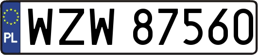 WZW87560