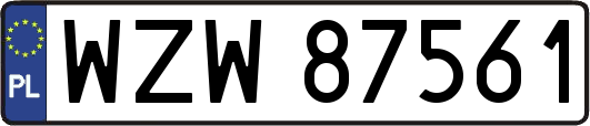 WZW87561