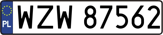 WZW87562