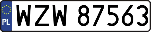 WZW87563