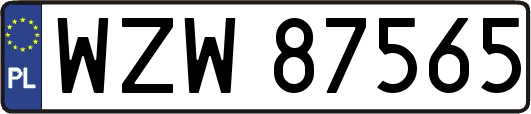 WZW87565