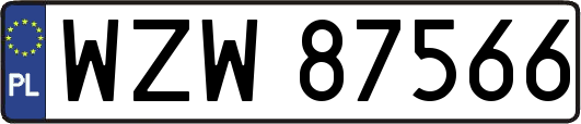 WZW87566