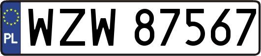 WZW87567