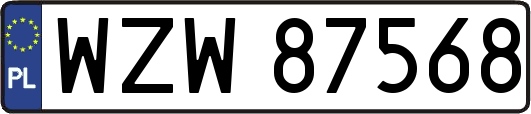WZW87568