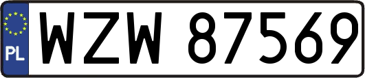 WZW87569