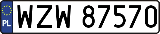 WZW87570