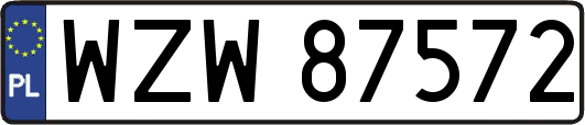 WZW87572