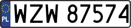 WZW87574