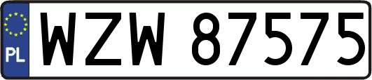 WZW87575