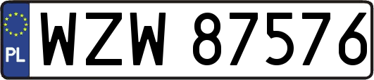 WZW87576