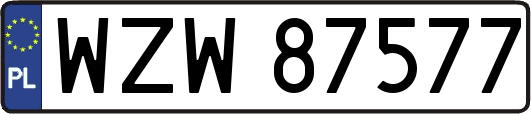 WZW87577