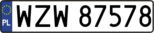 WZW87578