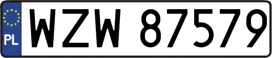 WZW87579