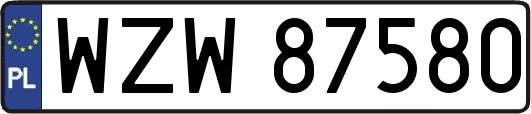 WZW87580