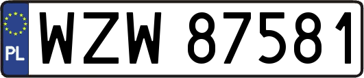 WZW87581