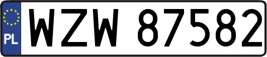 WZW87582