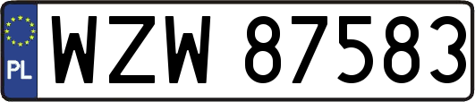 WZW87583