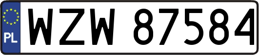 WZW87584