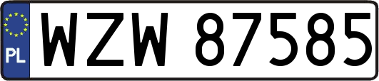 WZW87585