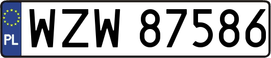 WZW87586