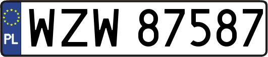 WZW87587
