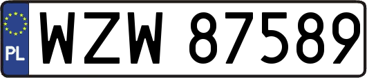 WZW87589