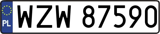 WZW87590
